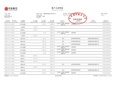 企业对公流水制作